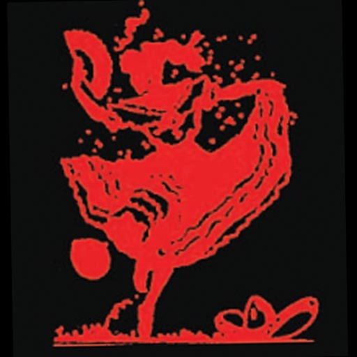 La Cabanita Villasenor