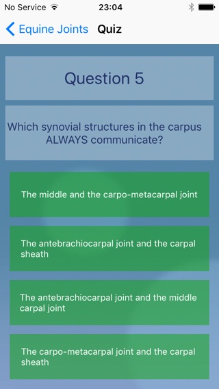 Equine Joint Injectionsのおすすめ画像4