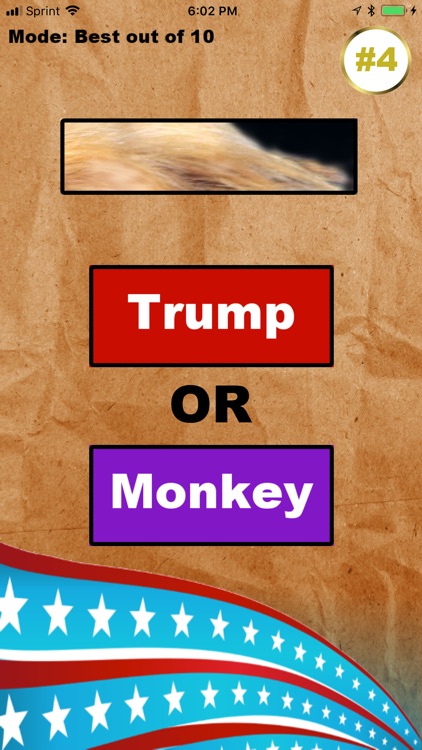 Trump or Monkey