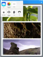 photo collage - create & edit айпад изображения 3