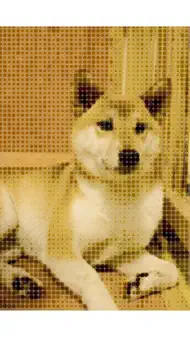 Camera 4 HalfTone iphone resimleri 3