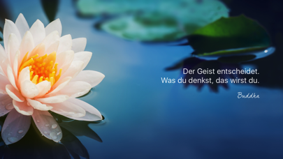 How to cancel & delete Weisheit des Buddha from iphone & ipad 1