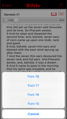 Bible KJV audio screenshot 5