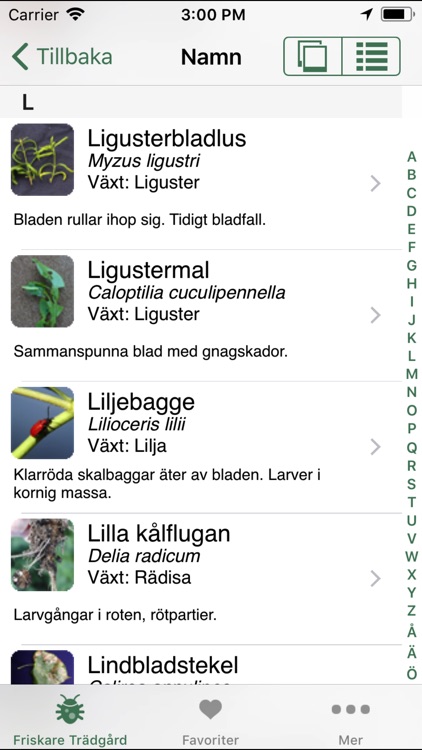 Friskare Trädgård
