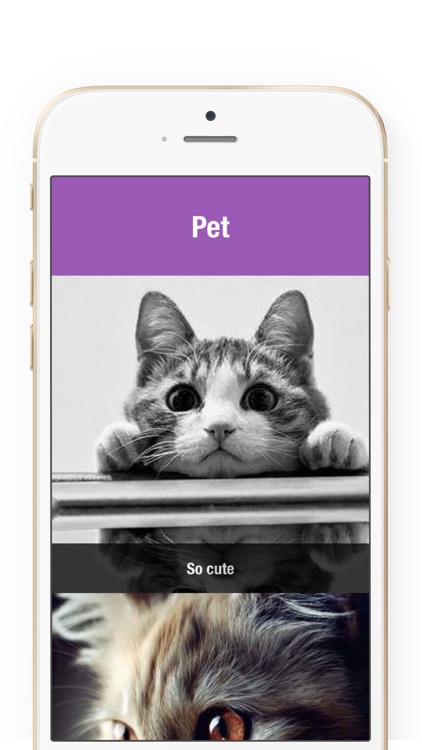 Stitch Pic-Photo Collage Maker