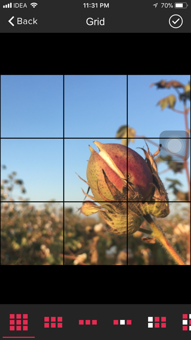 Screenshot #1 pour Photo Splitter : Image Slicer