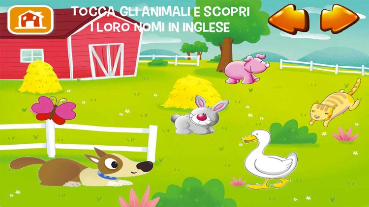 Dotto Mio primo inglese 61013