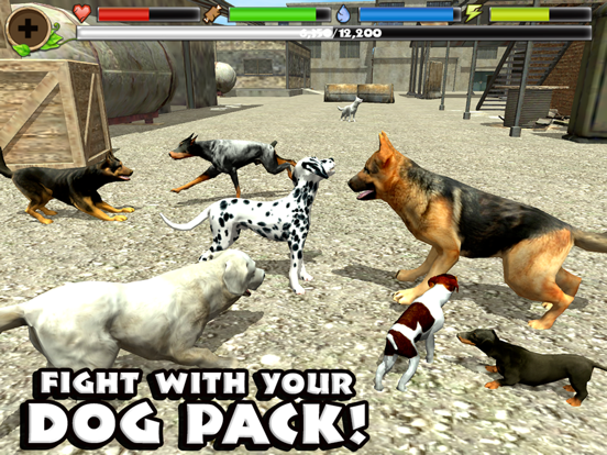 Stray Dog Simulator для iPad