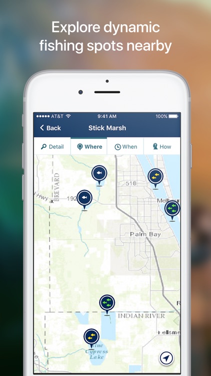 Netfish - Fishing Forecast App