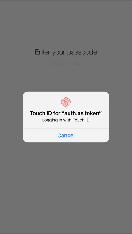 auth.as token screenshot-4