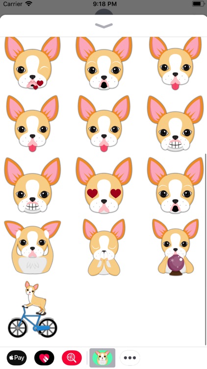 Animated Blonde Boston Terrier