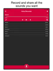 voice & audio recorder pro айпад изображения 1