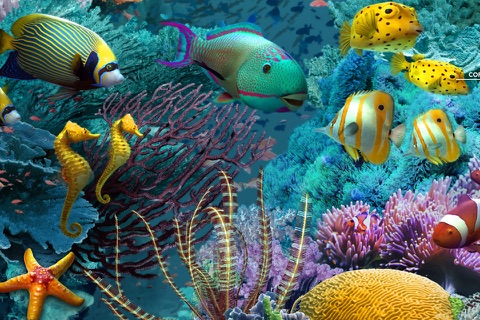 Amazing World OCEAN 3D screenshot 2