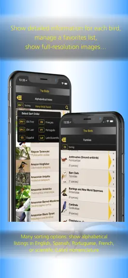 Game screenshot The Birds of Argentina apk