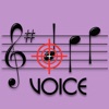 Note Hitter Voice Lite - iPhoneアプリ