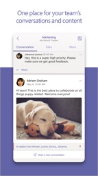 Microsoft Teams Captura de tela 1