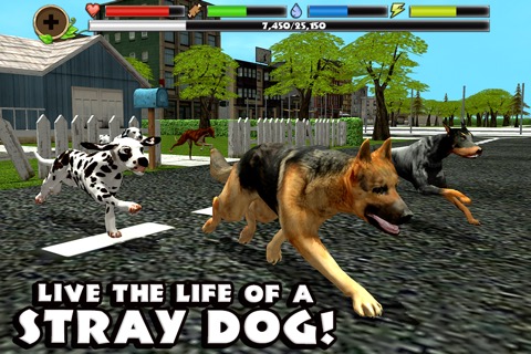 Stray Dog Simulatorのおすすめ画像1