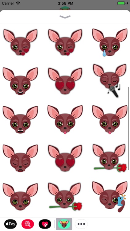 Animated Red Chihuahua screenshot-3