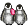 Love Penguin Stickers app icon - Stickers app for iPhone
