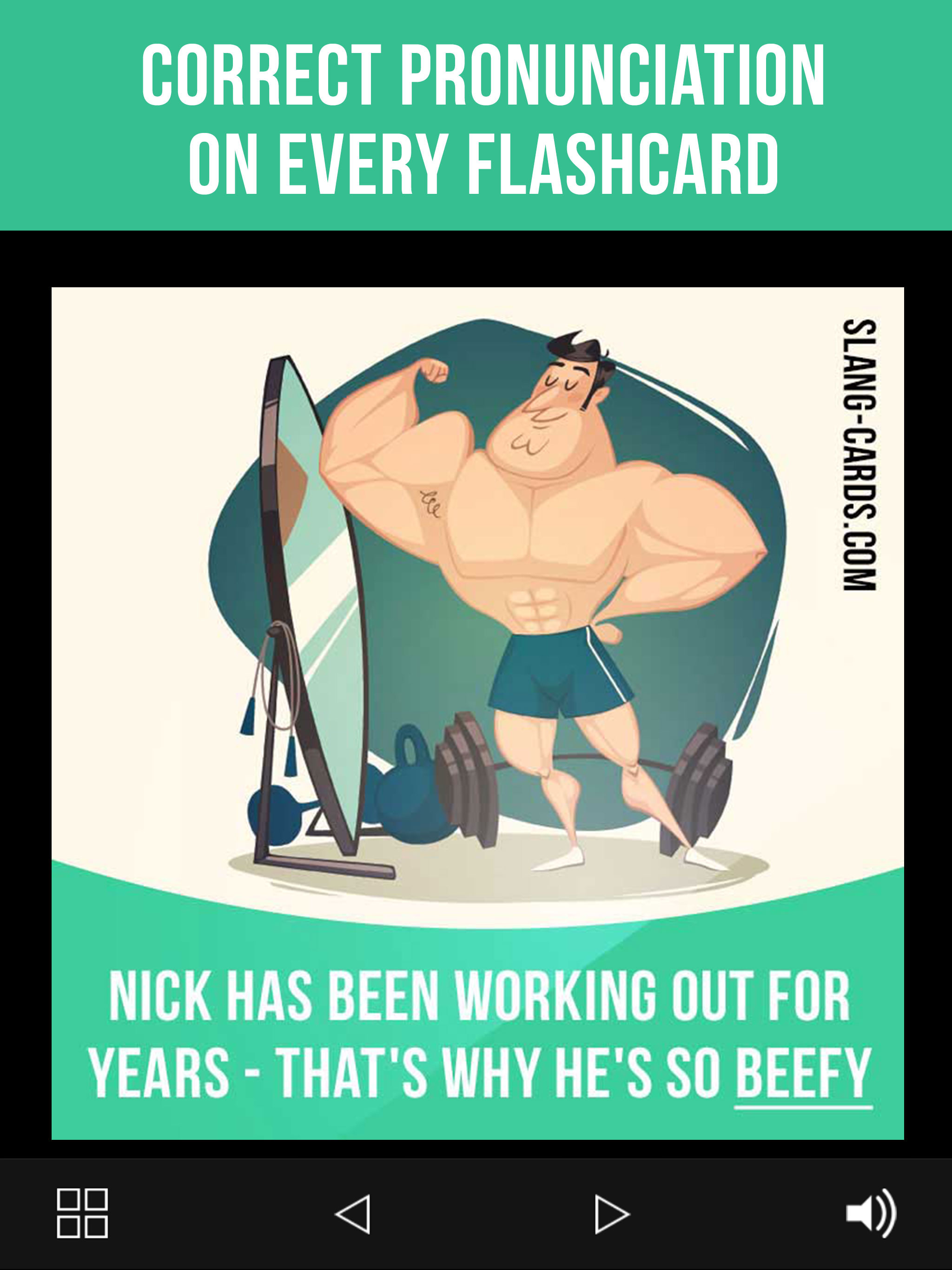 Slang Cards Lite