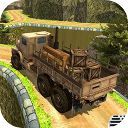 Army Transport Truck Delivery