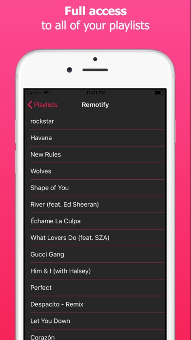 Remotify screenshot 2