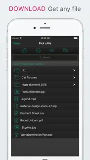 file getter iphone screenshot 1