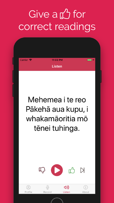 Kōrero Māori screenshot 3