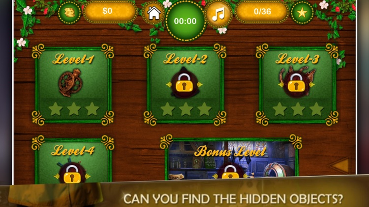Looking Hidden Things