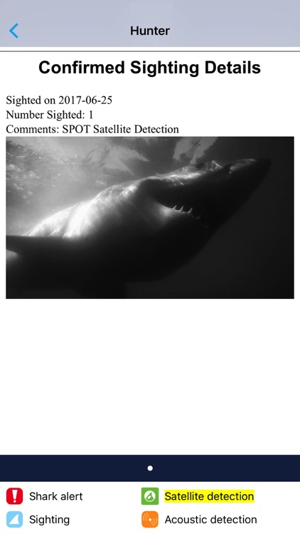 Sharktivity - White Shark Sightings screenshot-3
