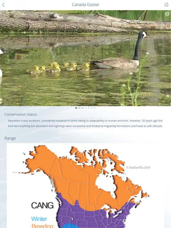 FeatherFlix iPad screenshot 4 - Reference app