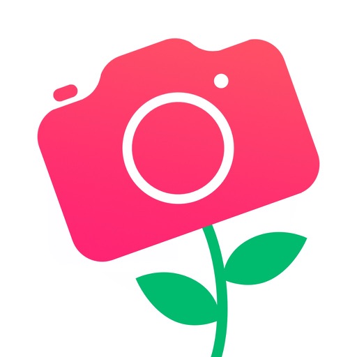 Flower Cam icon