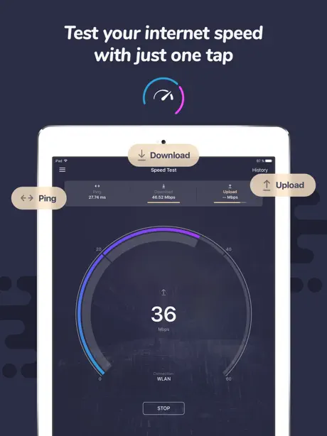 Speed Test: Network Ping Check