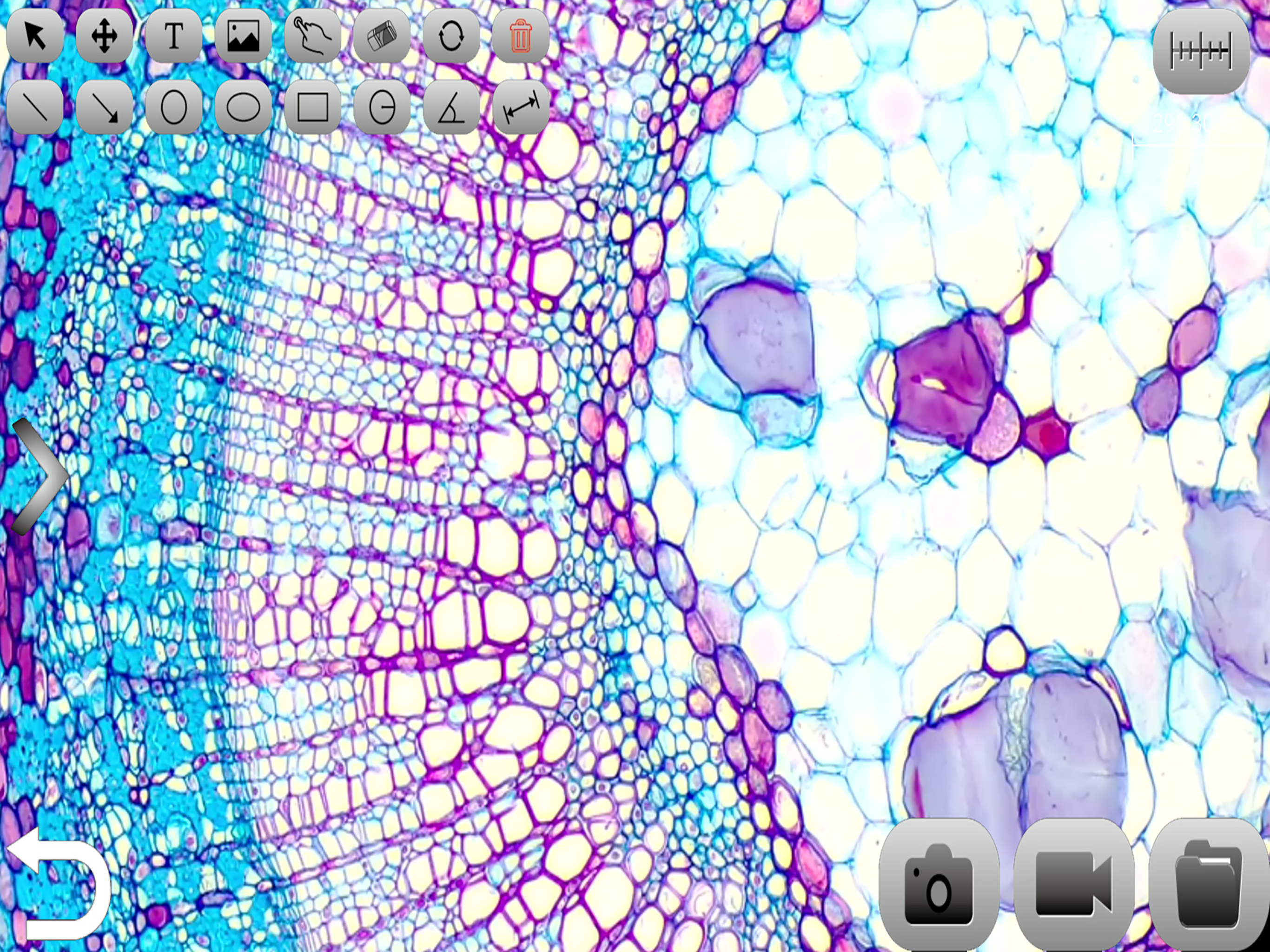 Micro WiFi Lab screenshot 4