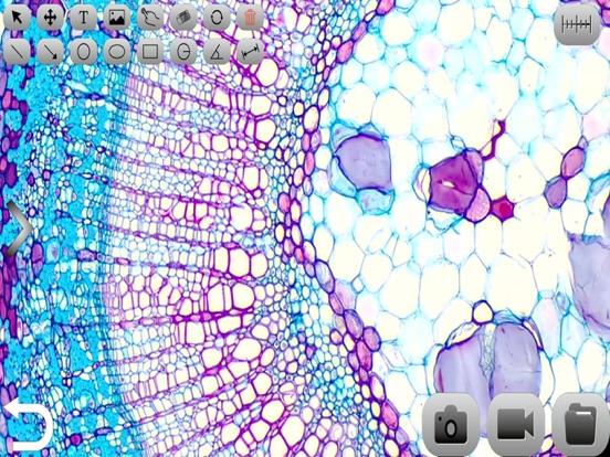 Screenshot #5 pour Micro WiFi Lab