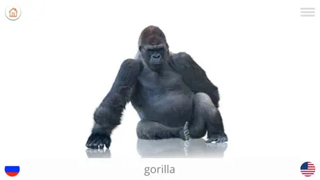 Drogalima