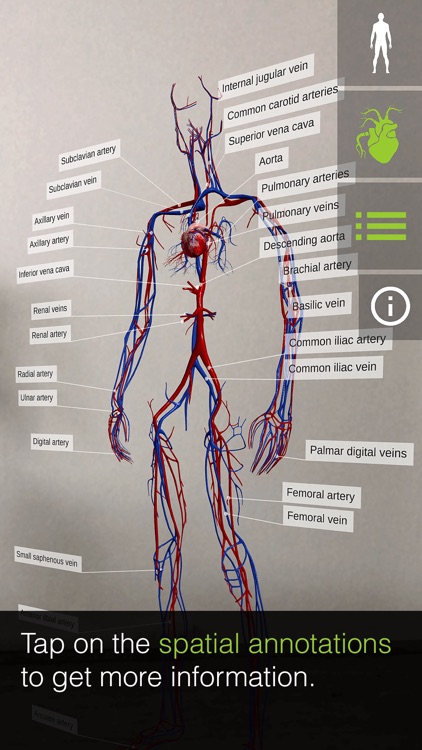 INSIGHT HEART screenshot-4