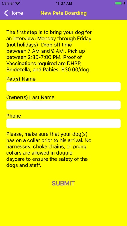 Little Rascals Doggie Daycare screenshot-3