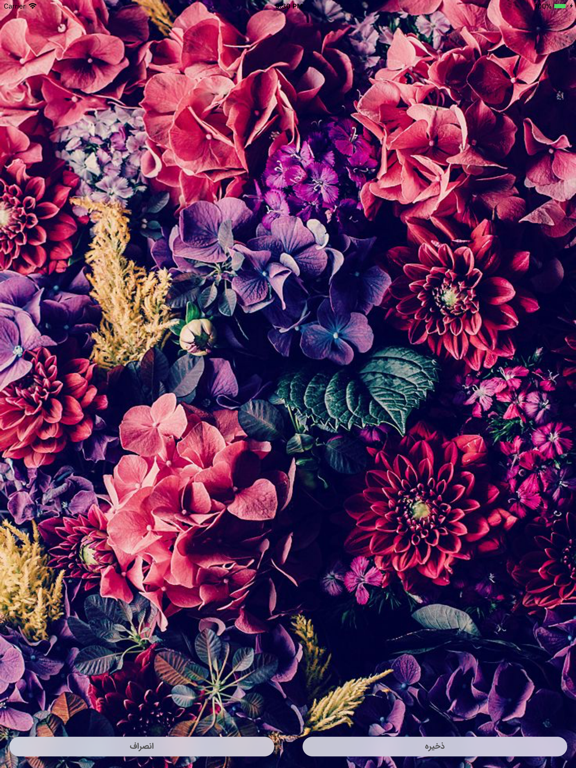 IC Pro iPad screenshot 5 - News app