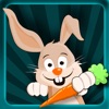 Bunny Jump HD Lite