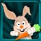 Bunny Jump HD Lite