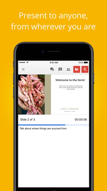 Google Slides screenshot-4