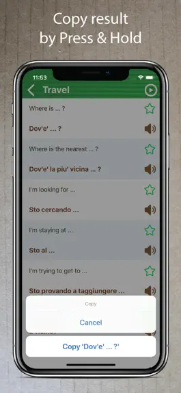 Game screenshot Learn Italian Phrasebook Pro + hack