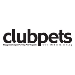 clubpets Magazine