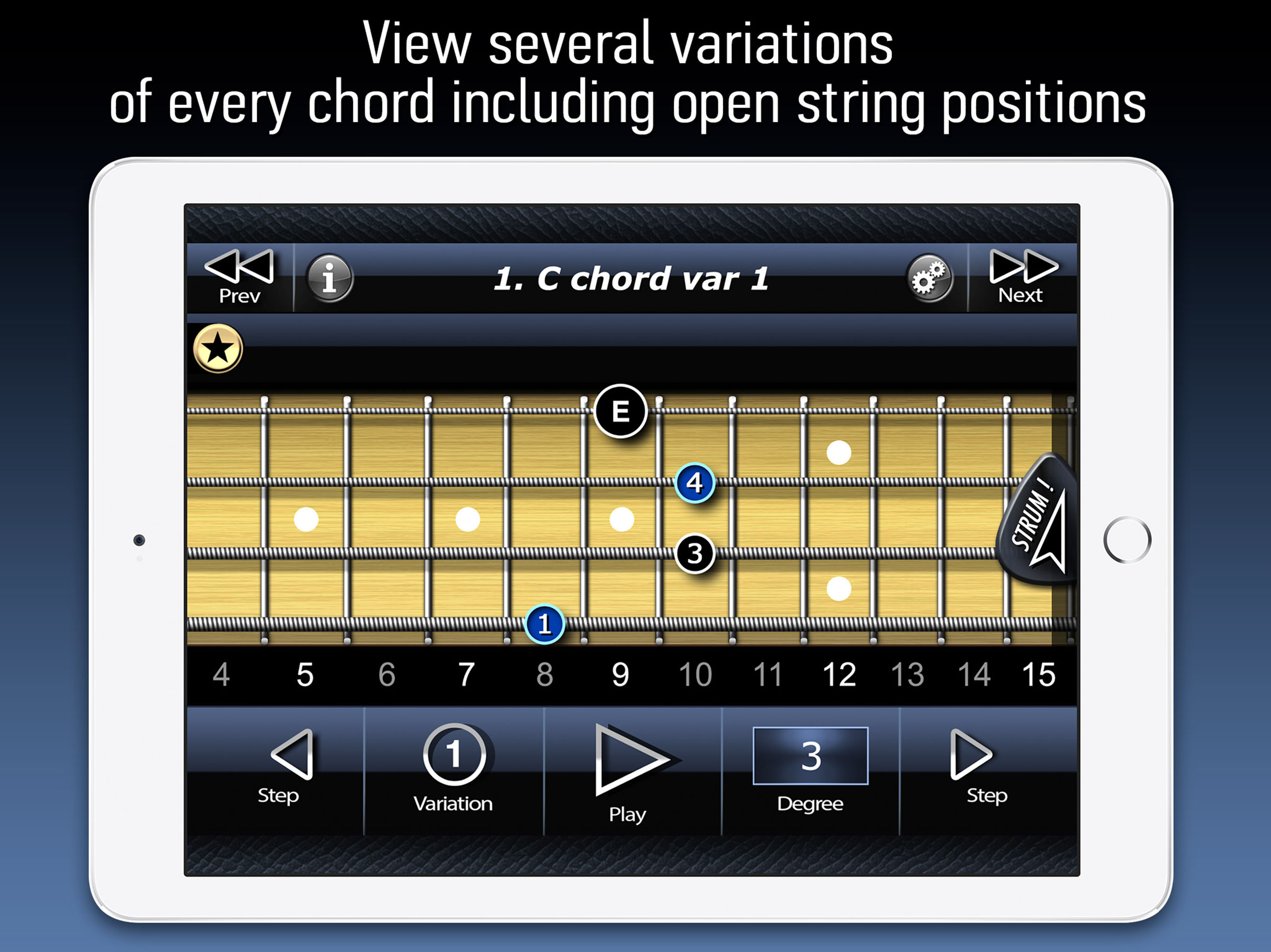 Bass Chords LE screenshot 8
