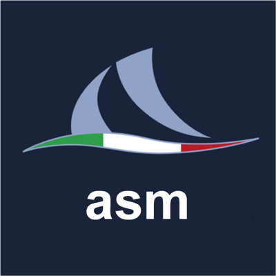 asm : Anchor Safe Monitor