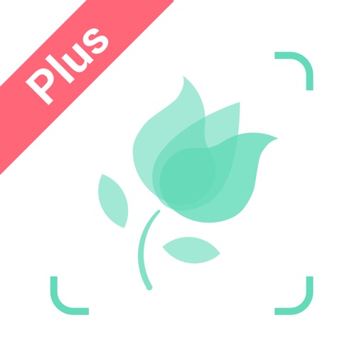 PictureThis：撮ったら、判る--1秒植物図鑑