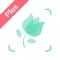 Picture Thisを使ってみた方なら誰もが驚く、新感覚の植物鑑定アプリです。