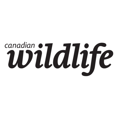Canadian Wildlife Magazine