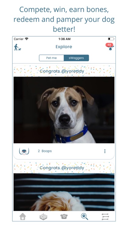 Boneafite screenshot-3